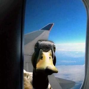 Meet your Posher, Debi